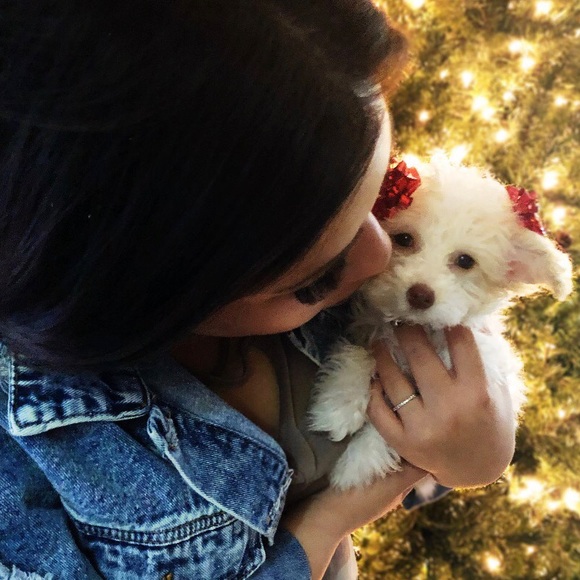 Meet your Posh Ambassador, Gabby! - Picture 2 of 8